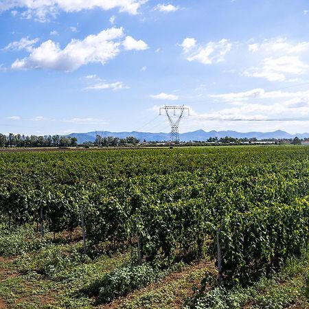 Agriturismo L'Ovile Borgo San Michele  Zewnętrze zdjęcie